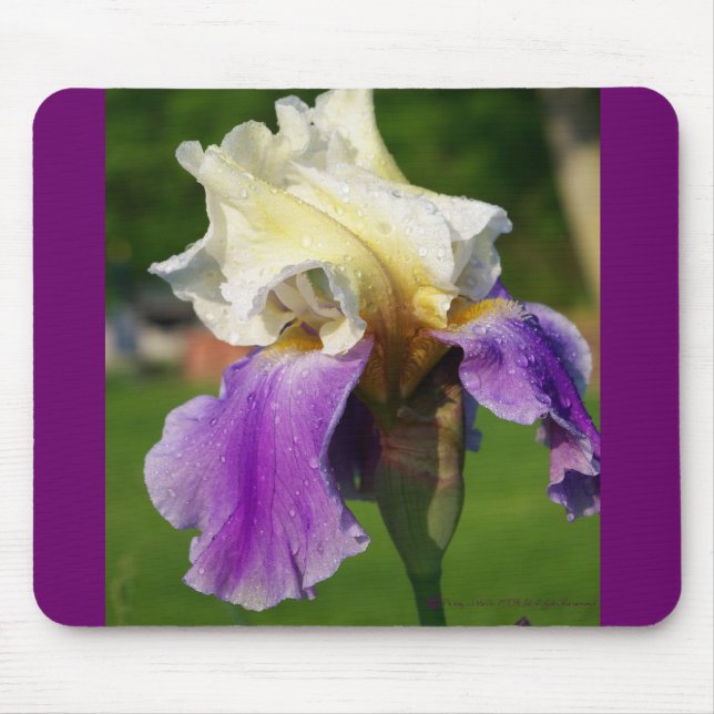 Alfombrilla De Ratón Iris Mousepad (Frente)