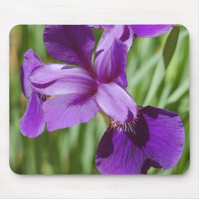 Alfombrilla De Ratón Iris Mousepad (Frente)