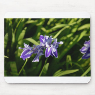 Alfombrilla De Ratón Iris Mousepad