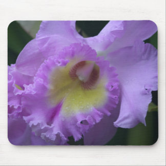 Alfombrilla De Ratón Iris Mousepad de Lavendar