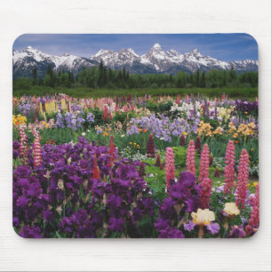 Alfombrilla De Ratón Iris y Lupine Garden y Teton Range,