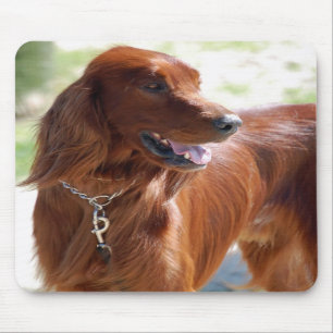 Alfombrilla De Ratón Irish Setter Mousepad