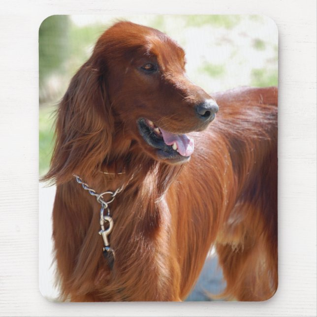 Alfombrilla De Ratón Irish Setter Mousepad (Frente)