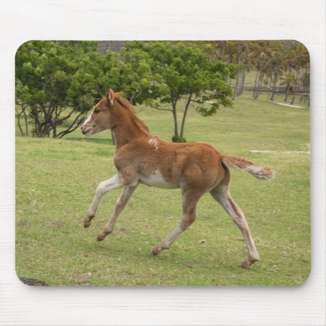 Alfombrilla De Ratón Isla de Pascua aka Rapa Nui (Frente)