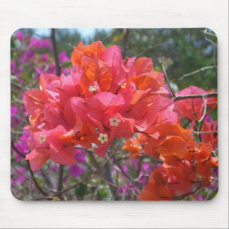 Alfombrilla De Ratón Isla Tropical Rosa Bougainvillea Floral