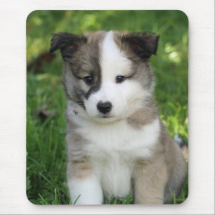 Alfombrilla De Ratón Islandhundwelpe Splitface