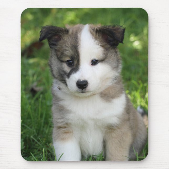 Alfombrilla De Ratón Islandhundwelpe Splitface (Frente)
