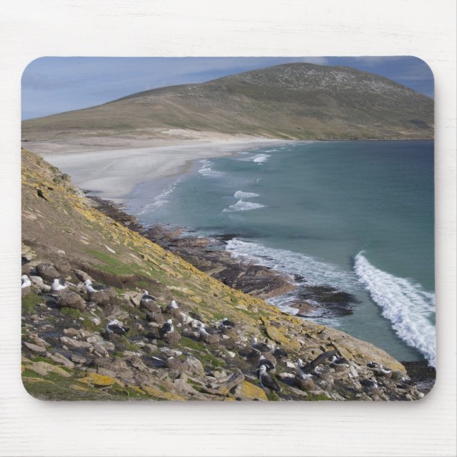 Alfombrilla De Ratón Islas Malvinas, West Falkland, Saunders (Frente)