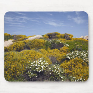 Alfombrilla De Ratón Italia, Cerdeña, Santa Teresa Gallura. Capo 3