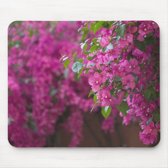 Alfombrilla De Ratón Italia, Sicilia, Cefalu, patio florido cerca (Frente)