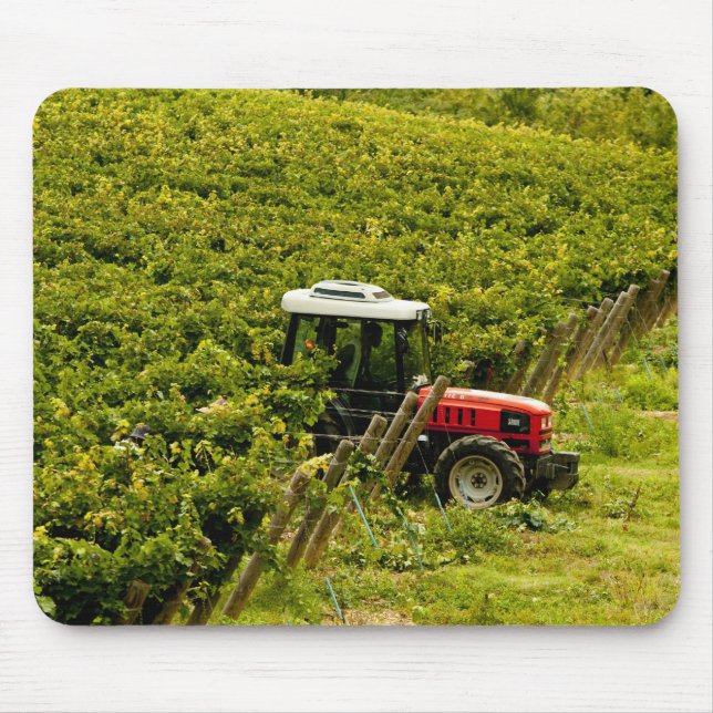 Alfombrilla De Ratón Italia, Toscana, Greve. Recetas en el trabajo dura (Frente)