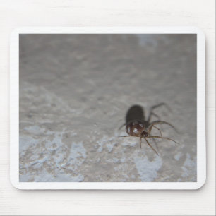 Alfombrilla De Ratón Itsy Bitsy Spider