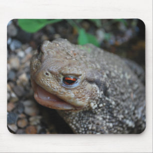 Alfombrilla De Ratón Jabba el sapo