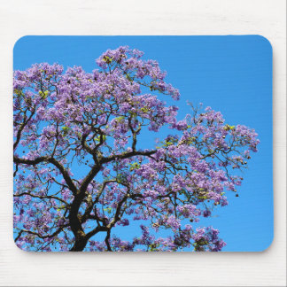 Alfombrilla De Ratón Jacaranda