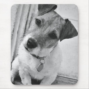 Alfombrilla De Ratón Jack Russell Terrier