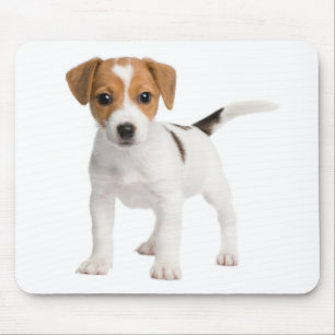 Alfombrilla De Ratón Jack Russell Terrier Cachorro Marrón Y Perro Blan