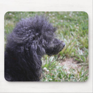 Alfombrilla De Ratón Jack T. Poodle