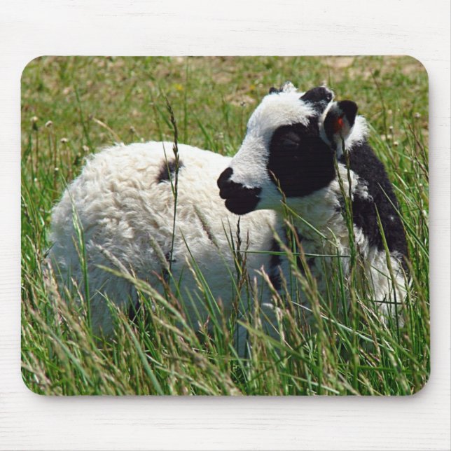 Alfombrilla De Ratón Jacob Ram Lamb (Frente)