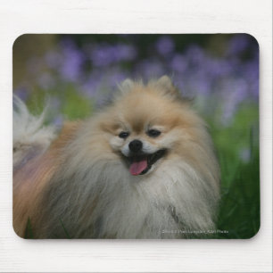 Alfombrilla De Ratón Jadeo de Pomeranian