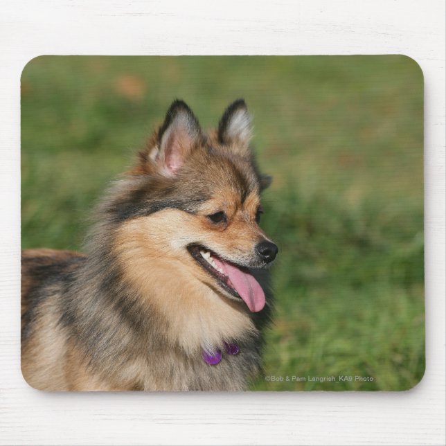 Alfombrilla De Ratón Jadeo del Headshot de Pomeranian (Frente)