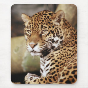 Alfombrilla De Ratón Jaguar Mousepad