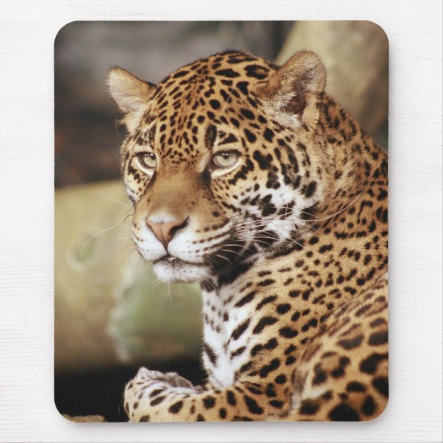 Alfombrilla De Ratón Jaguar Mousepad (Frente)