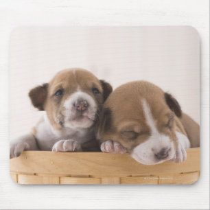 Alfombrilla De Ratón Japón