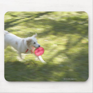 Alfombrilla De Ratón Japón 2