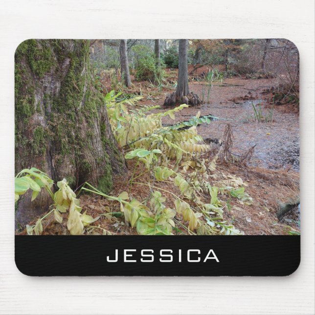 Alfombrilla De Ratón Jardín botánico otoñal, añada tu nombre (Frente)