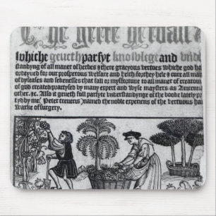 Alfombrilla De Ratón Jardín de hierbas medieval