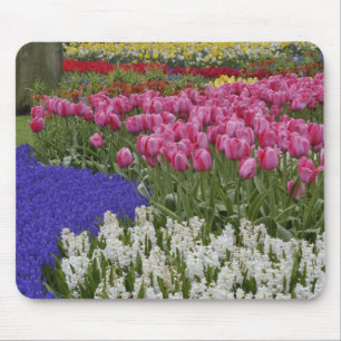 Alfombrilla De Ratón Jardín de jacintos de uva, jacintos y tulipanes,