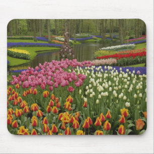 Alfombrilla De Ratón Jardín de tulipanes e hyacinth, Keukenhof Gardens,
