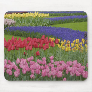 Alfombrilla De Ratón Jardín de tulipanes, jacintos de uva y