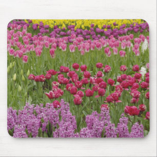 Alfombrilla De Ratón Jardín de tulipanes, narcisos e jacinto