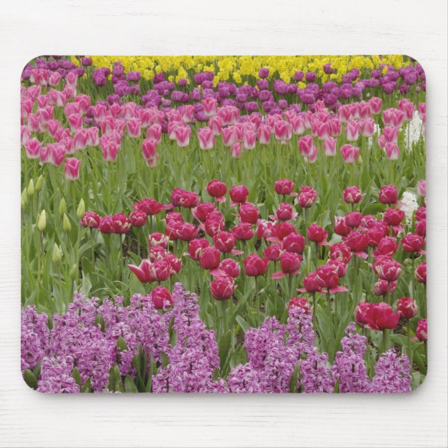 Alfombrilla De Ratón Jardín de tulipanes, narcisos e jacinto (Frente)