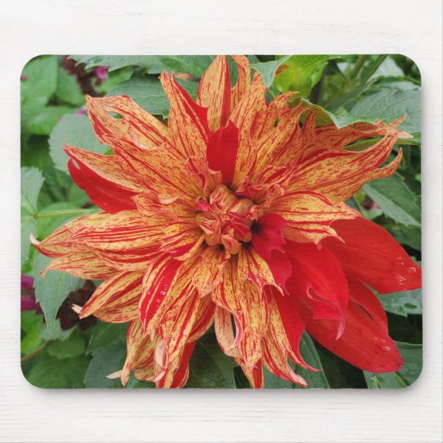 Alfombrilla De Ratón Jardín de verano (Frente)