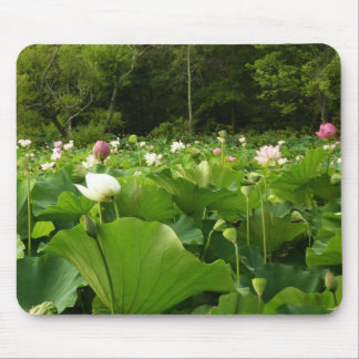 Alfombrilla De Ratón Jardín de verano de Lotus Flowers