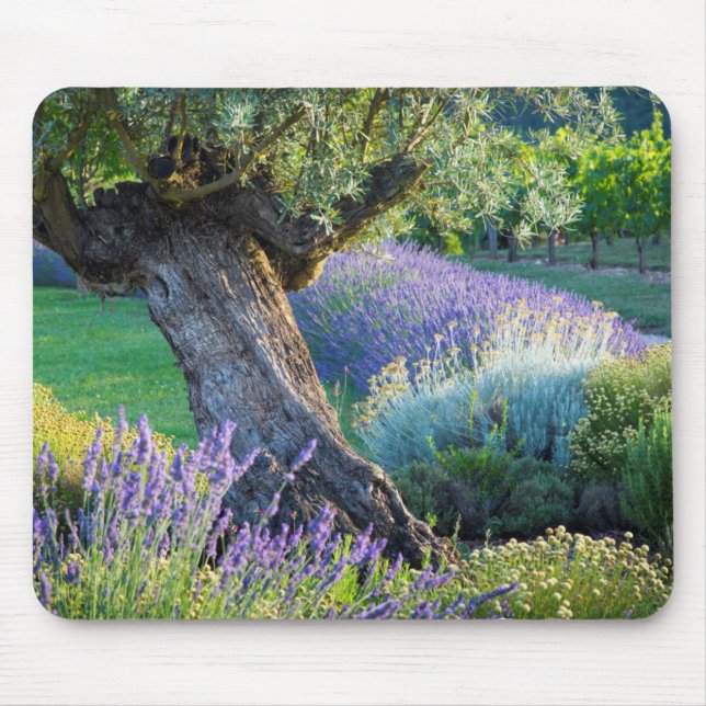 Alfombrilla De Ratón Jardín escénico con flores, Francia (Frente)