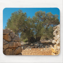 Jardines de oliva de Lun