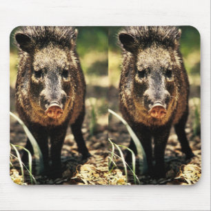 Alfombrilla De Ratón Javelina