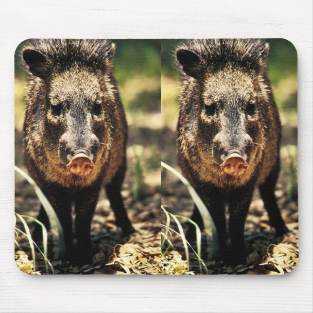Alfombrilla De Ratón Javelina (Frente)