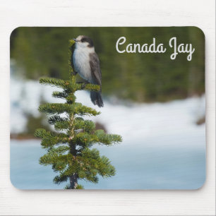 Alfombrilla De Ratón Jay de Canadá