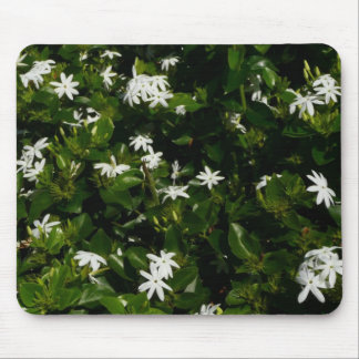 Alfombrilla De Ratón Jazmín Flores Tropicales Florales Botánicas