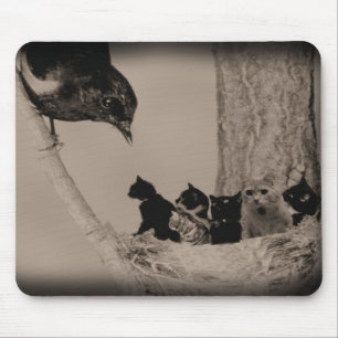 Alfombrilla De Ratón Jerarquía de gatos