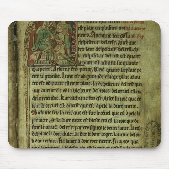 Alfombrilla De Ratón Jerome: Un médico que visita a un paciente (Frente)