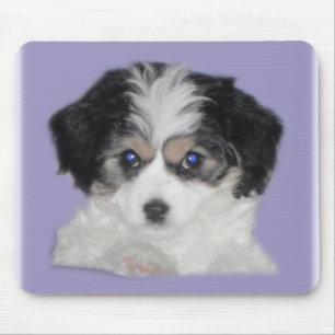 Alfombrilla De Ratón Jersey Cavachon Mousepad