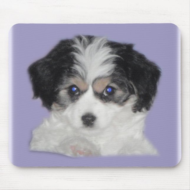 Alfombrilla De Ratón Jersey Cavachon Mousepad (Frente)