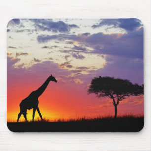 Alfombrilla De Ratón Jirafa silueteada al amanecer, Giraffa