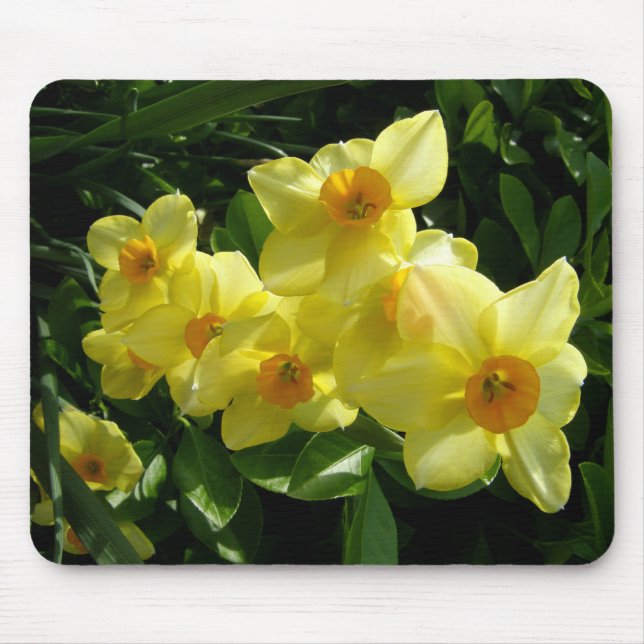 Alfombrilla De Ratón Jonquils/narcisos/narciso (Frente)