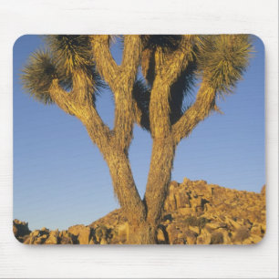Alfombrilla De Ratón Joshua Tree, Yucca brevifolia) y granito